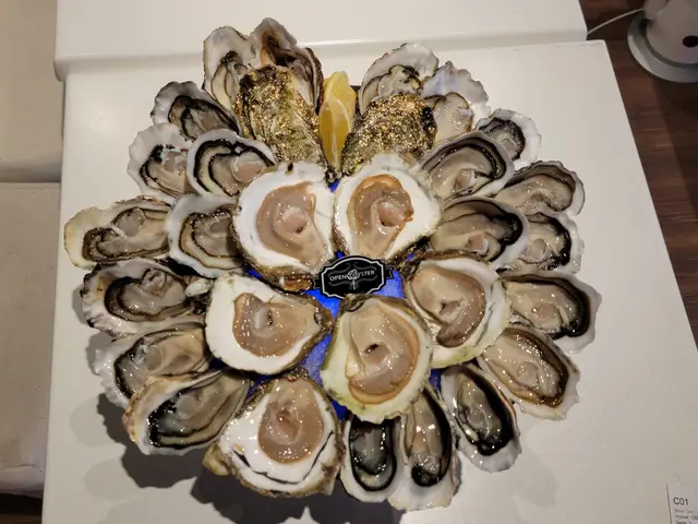 凡惠顧餐酒一杯, 即可六折優惠嘆蠔